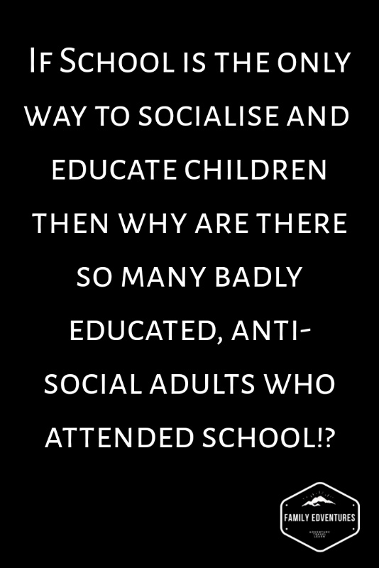 A homeschool meme. Education means more than sending a child to school. Socializing homeeducated  children happens naturally. #homeeducated #homeschool #homeschooling #worldschooling #worldschool #education