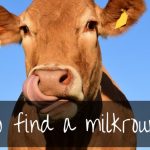 Find Milk Delivery Near Me | the complete guide
