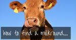 Find Milk Delivery Near Me | the complete guide