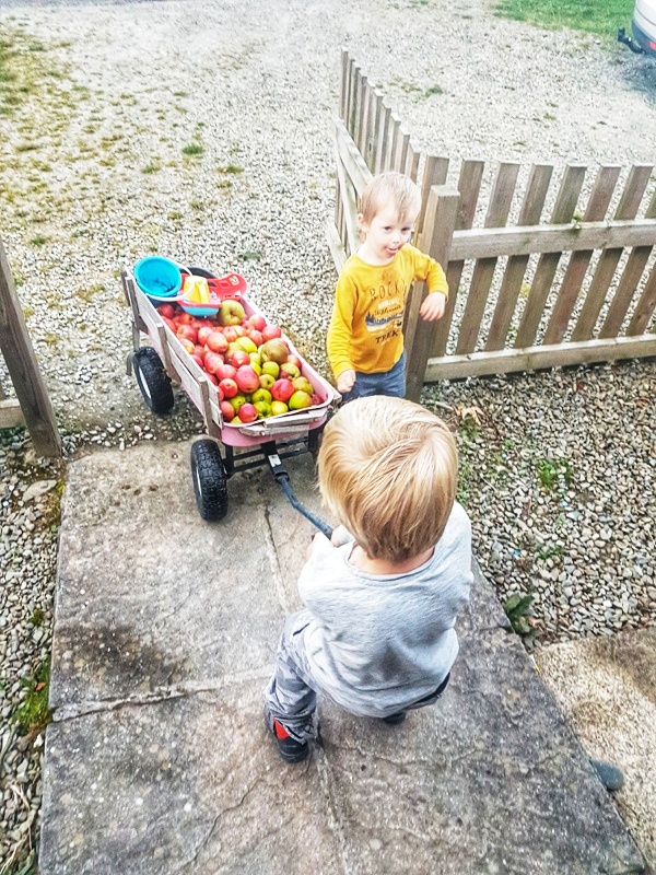 fun toddler activities