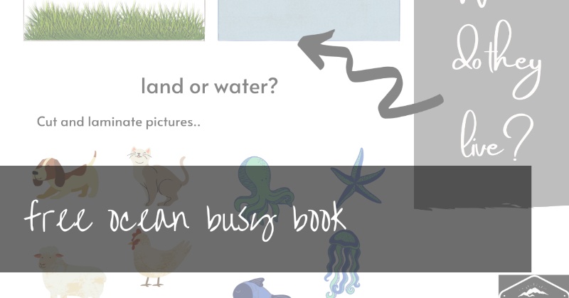 Ocean Busy Book Pages | seaside activity pages