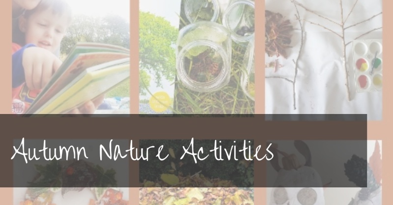Autumn Nature Activities That Kids Will Love